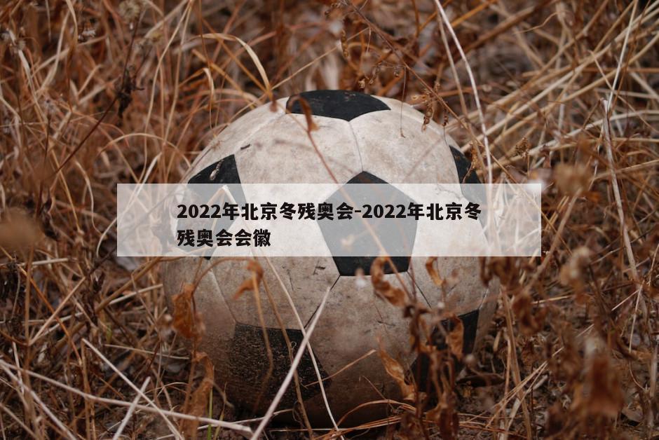 2022年北京冬残奥会-2022年北京冬残奥会会徽